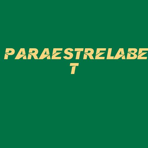 Logo da PARAESTRELABET